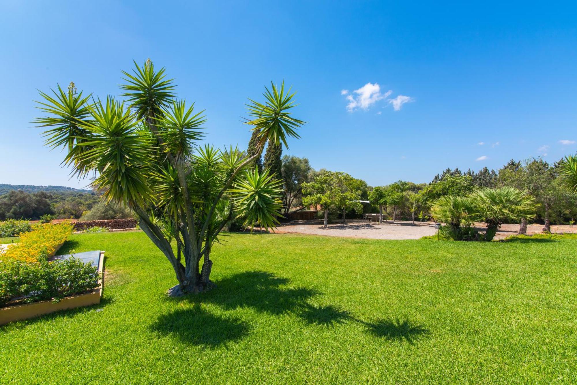 Finca Son Blat Porto Cristo Exterior foto